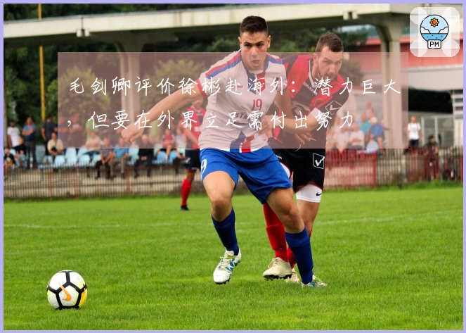 毛剑卿评价徐彬赴海外：潜力巨大，但要在外界立足需付出努力