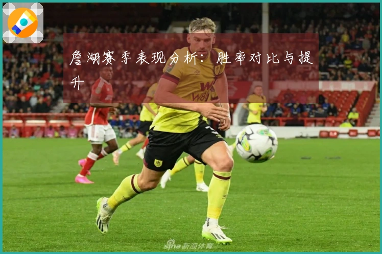 詹湖赛季表现分析：胜率对比与提升