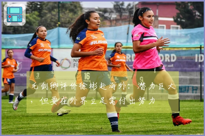 毛剑卿评价徐彬赴海外：潜力巨大，但要在外界立足需付出努力