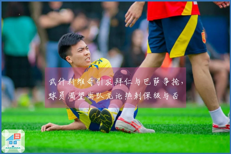 武什科维奇引发拜仁与巴萨争抢，球员渴望离队无论热刺保级与否